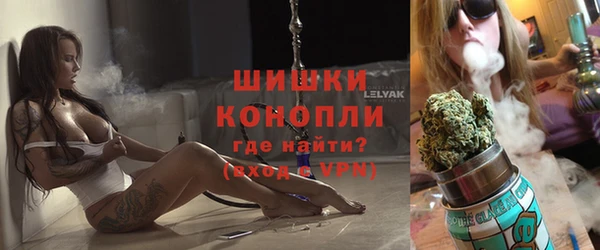 винт Верея