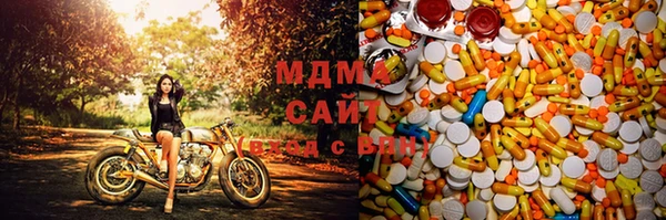 эйфоретик Бородино