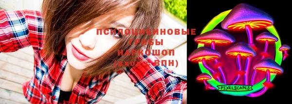 эйфоретик Бородино