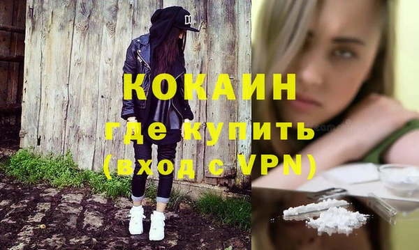 винт Верея