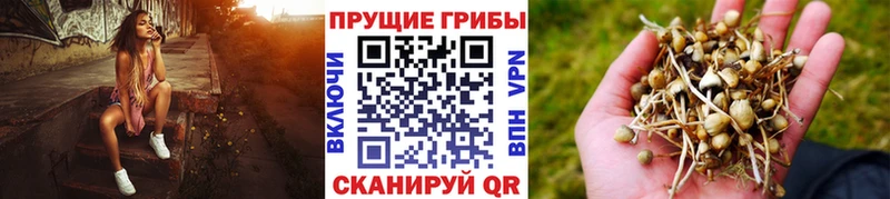 Галлюциногенные грибы MAGIC MUSHROOMS Кимры